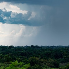 Soothing rain in the Amazon rainforest