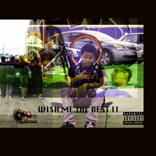 SteezoThePlotter - Venting