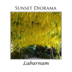 Sunset Diorama - Laburnum (Andy Kidd's Sunset Remix)