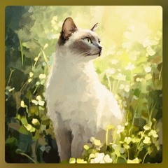 WM🌞#1256⛈️☔️💨🍃🌦️🌽🌾🌼🍁🐈