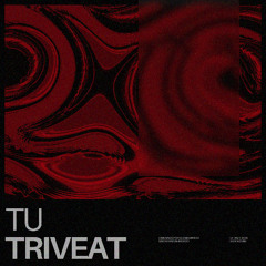 TU - TRIVEAT