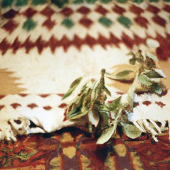 Untitled (Windy Field Walk)