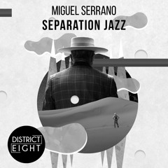 Miguel Serrano - Separation Jazz (Original Mix)