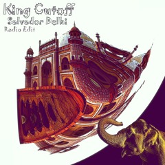 Salvador Delhi (Radio Edit)