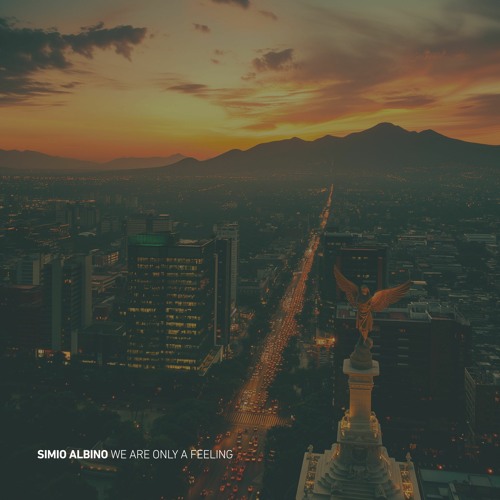 Simio Albino - A Relationship (PM Mix) [3rd Avenue]