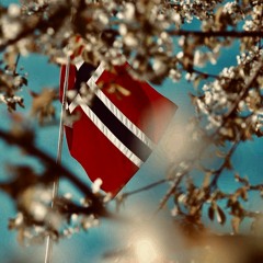 Fedrelandssalmen.WAV