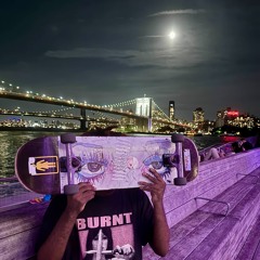 P222 p slideblame & digital