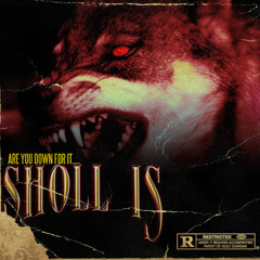 sholl is (Feat. F1oridaDrip)