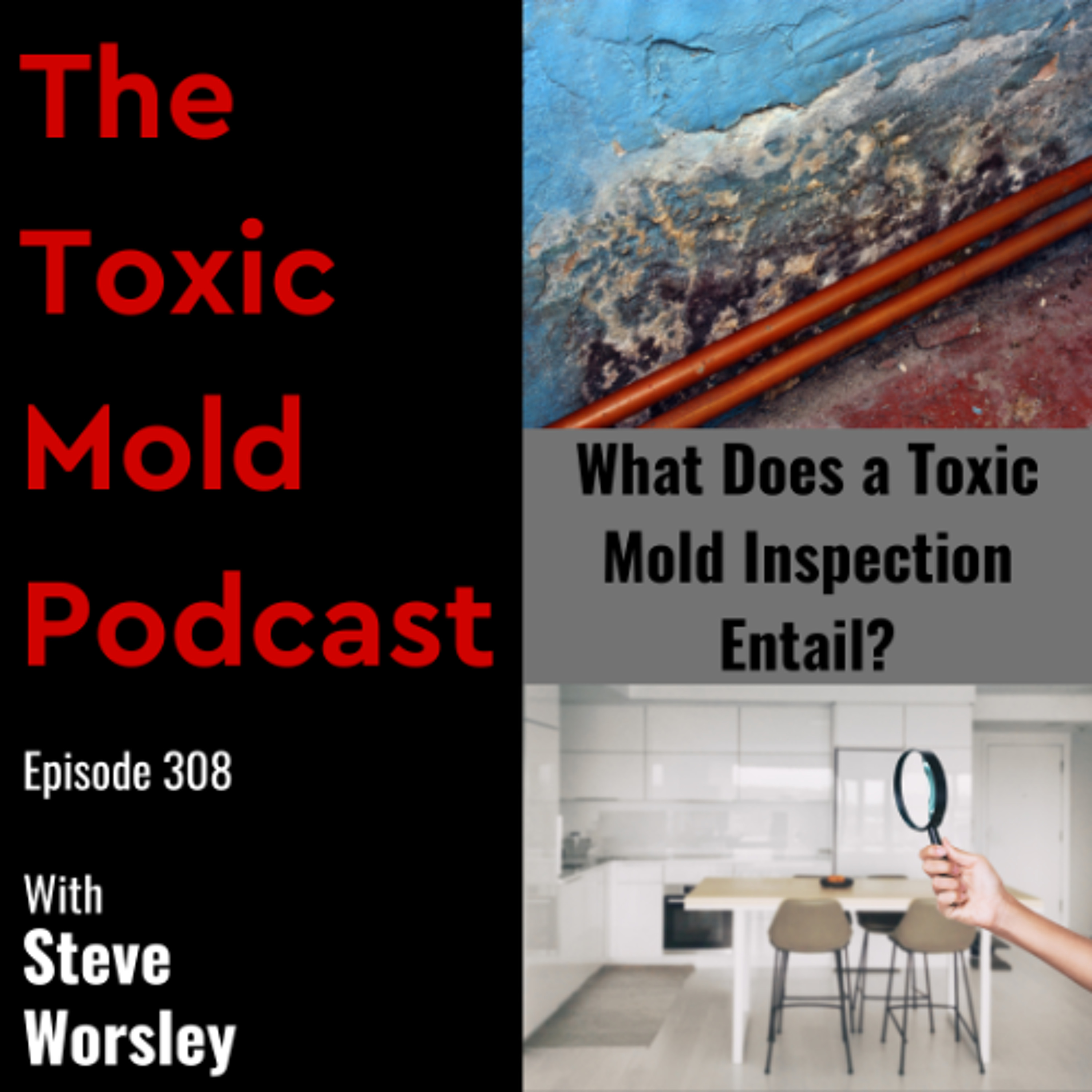 EP 308: What Does a Toxic Mold Inspection Entail?