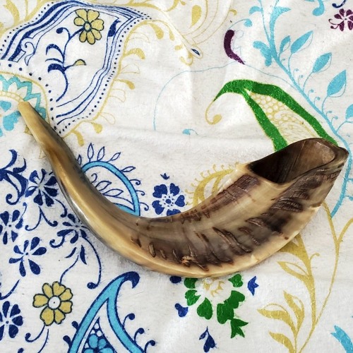 Stream The Tekiah Project Listen to Shofar 1 playlist online for free