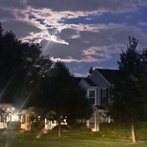 ReMaNe_AI'OriGiNaL- TaKe Me BaCk (mastered)