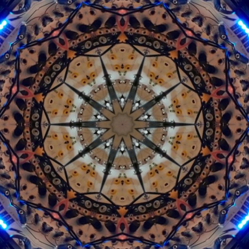 Wizard Wizdom (experimental wip) original mix2019