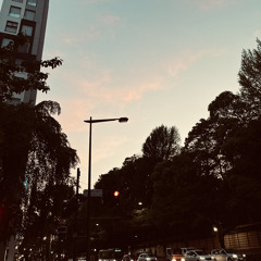 Horizen Light Version