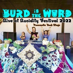 LIVE AT LUCIDITY FESTIVAL 2022 Pneumatic Nook Stage