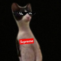 My Slingin’ Monsters Type Beat