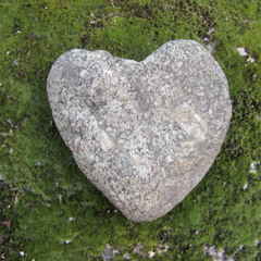 No endurezcáis el corazón (semana 2 de Cuaresma)