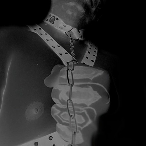 𝔞𝔫𝔦𝔪𝔦𝔱𝔞 (djset)
