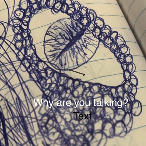 why are you talking? (prod. honey)