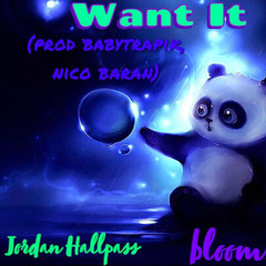 WANT IT (FEAT. bloom) (prod babytrapik, nico baran, IDK Jrdn)