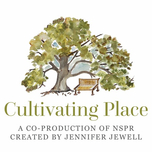 Stream Episode Healing Gardens Series 2 Therapeutic Landscapes Stream Episode Healing Gardens Series 2 Therapeutic Landscapes