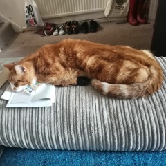 Hilliam Wowl All Vinyl Ragga Jungle Mix