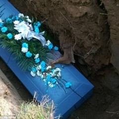 you didn't hear me crying so i'll just make it stop (1 foot in the grave)