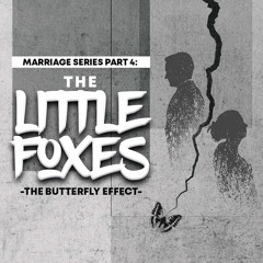 S.224 Marriage Series Part 4: The Little Foxes – The Butterfly Effect