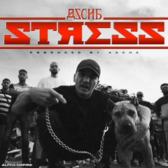 Asche - Kollegah - STRESS [Remix] (prod by. pytoz)