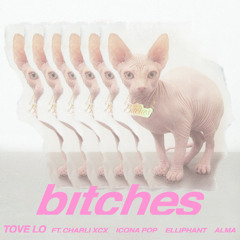 bitches (feat. Charli XCX, Icona Pop, Elliphant & ALMA)