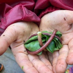 Why Is There No School?