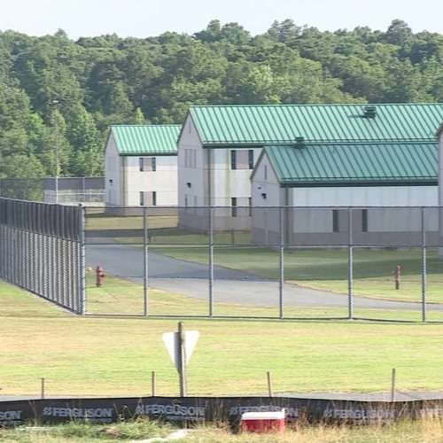 Piper Rountree Case Stream Piper Rountree's Statement by LegalAidJusticeCenter | Listen ...