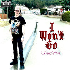 I won't go (prod. rabi)