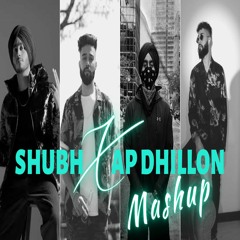 Shubh X AP Dhillon Mashup - Electron Music