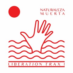 PREMIERE: Naturaleza Muerta - Darse Cuenta [Amplio Espectro]