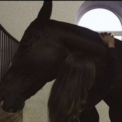 اسفك قلي شسوي به ؟