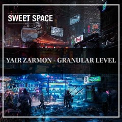 FREE DOWNLOAD: Yair Zarmon - Granular Level (Original Mix) [Sweet Space]