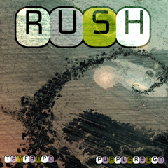 Rush x Purplereign