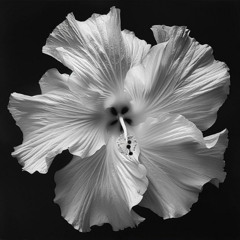 Kanye West - HIGHS AND LOWS (with vocal)