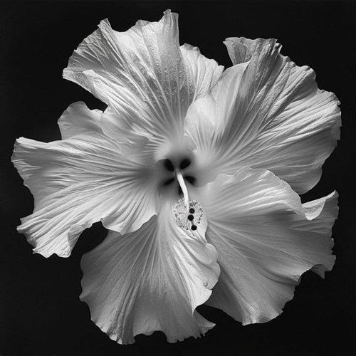 Kanye West - HIGHS AND LOWS (with vocal)