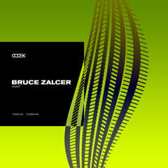 Bruce Zalcer - The Hunt [CODEX Recordings]