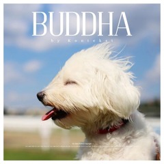 Buddha – Kontekst | Free Background Music | Music Without Copyright