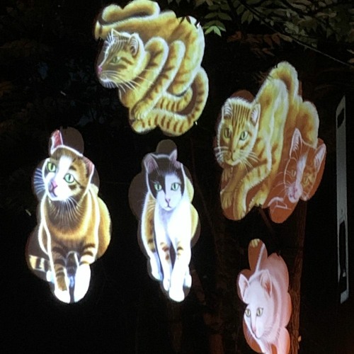 Annual Membership Meeting @ Diane's Hunting Club (Jul 2, 2023)