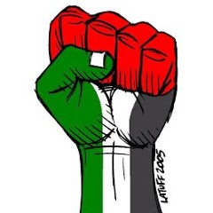 My Cover of Palestine by Jim Page