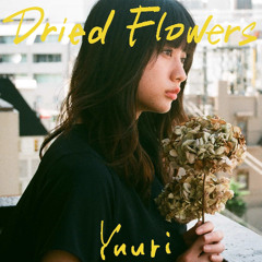 [ドライフラワー / Dry Flower] [優里 / Yuuri] [-Piano cover (+4)-]