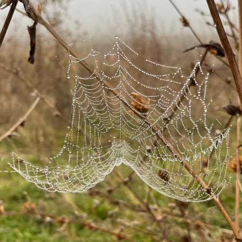 Mix by Andria Obor w/ Ouch Collective (12.11.2025)