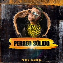 Don Omar - Perreo Sólido (Pedro Cabrera Mashup) *Freedownload*