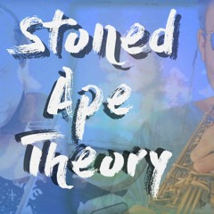 Donkey Kong Country - Stoned Ape Theory (Aquatic Ambience Reimagined)
