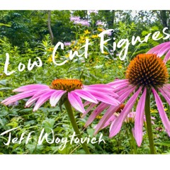 Low Cut Figures