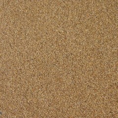 Breathing between sand (desert of possibilities)