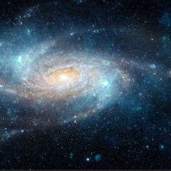 K5 & 5kkaii-FREESTYLE